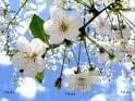 Spring clean your franchise Spring clean your franchise